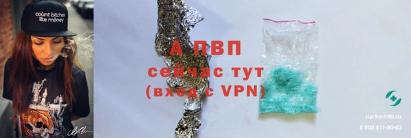 стаф Нефтекумск