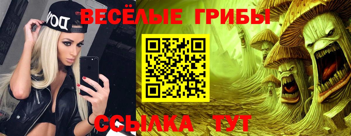 Конопля Махачкала
